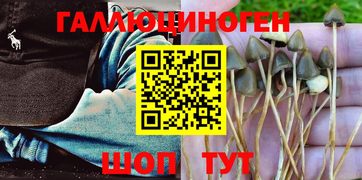 Галлюциногенные грибы мицелий  Вход с VPN  Курчатов 
